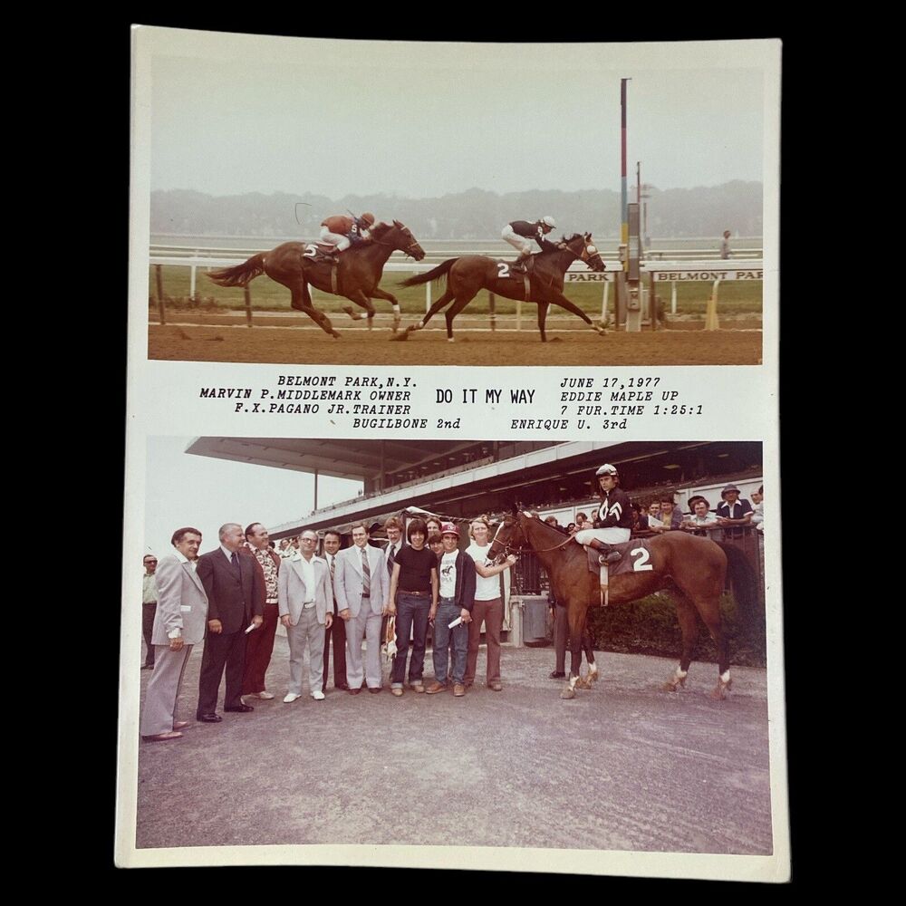 Vintage 1977 Belmont Park Winner Circle Photo Do It My Way Eddie Maple